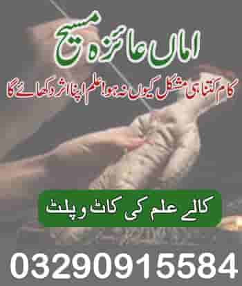 Shadi Ka Taweez